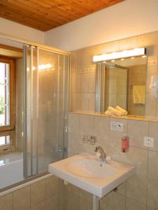 贝尔金普雷达库尔姆酒店的一间带水槽、淋浴和镜子的浴室
