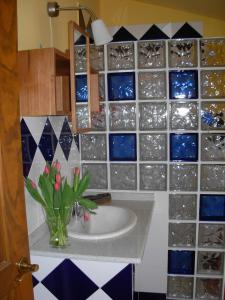 GuimaránLa Llosa Rodré的一间带水槽和花瓶的浴室