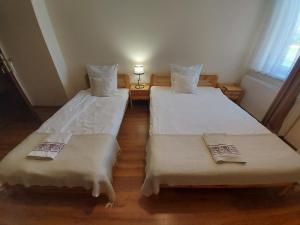 恰普利内克Przystanek Czapla的带窗户的客房内设有两张单人床。