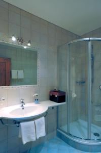 多比亚科Apartments Hubertushof的一间带水槽和淋浴的浴室