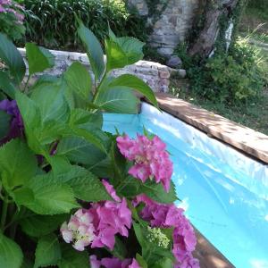 Ortignano RaggioloHexagon的游泳池旁的一座花园,花园内种有粉红色的花卉