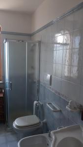 莱乌卡Villa i Pini Santa Maria di Leuca的带淋浴、卫生间和盥洗盆的浴室