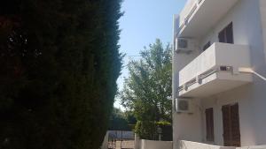 加利波利奥萨米诺尔公寓的一座白色的建筑,旁边是一棵大绿树