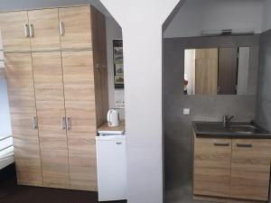 耶莱尼亚古拉Hostel Anilux的一个带水槽和木橱柜的厨房