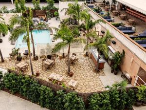 洛杉矶Hotel June West LA, a Member of Design Hotels的享有酒店顶部的景色,设有游泳池和棕榈树