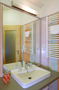 布尔诺Hotel Centrum Brno的一间带水槽和镜子的浴室