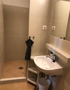 巴拉顿诺尔马迪Polaris Yacht Apartman的一间带水槽和镜子的浴室