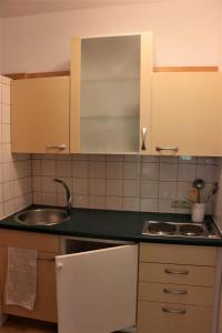 HofWerkhof Bistrica的厨房配有水槽和台面