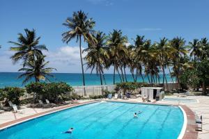 圣胡安KASA El Sol by the Sea with Pool and Parking的一座棕榈树和海洋游泳池