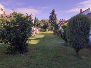 考波什堡HEMNES Apartman的草上两棵树的院子
