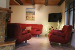 利普托夫堡Domček v záhrade的客厅配有红色沙发和平面电视