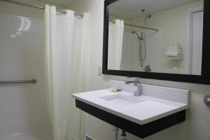 罗马Kings Inn的一间带水槽、镜子和淋浴的浴室