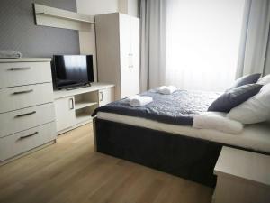 凯尔采Widok Kielce的一间卧室配有一张带梳妆台和电视的床。