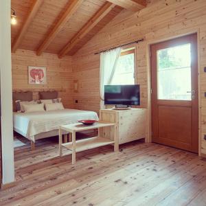 奥萨纳I Larici Camping Lodge的一间卧室配有一张床、一台电视和一扇门