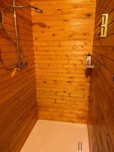 ŽeleznikiDotik gozda的带淋浴的浴室(带木墙)