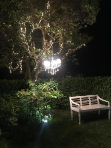 乌尔比诺Residenza Ambrogi的夜晚坐在树前的草上的一个长凳
