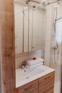 ArriachAppartement VIDMAR-FERIENGLÜCK的一间带水槽、淋浴和镜子的浴室