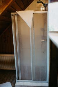 ArriachFerienwohnung Vidmar的一间房间里带玻璃门的淋浴