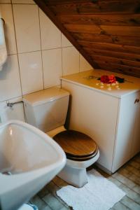 ArriachFerienwohnung Vidmar的一间带卫生间和水槽的浴室