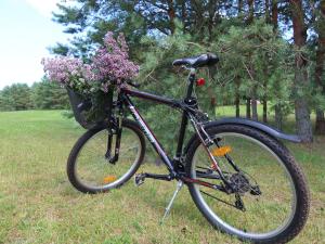 坎达瓦Dižpriedes的一辆自行车停在草地上,放着一篮鲜花