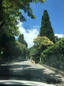 加尔多内-里维耶拉Stanza privata Oleandro的一条有树木和围栏的道路