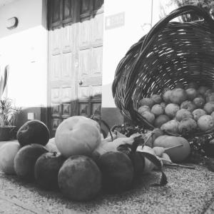 巴塞罗纳-波佐戈托Idria B&B的地上一篮子的水果