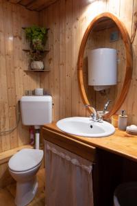 TarnaszentmáriaBarna Faház的浴室设有卫生间和带镜子的盥洗盆