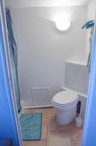 MontfrinStudio entre Cévennes et Camargue的浴室配有白色卫生间和淋浴。