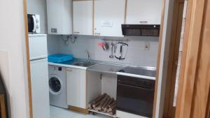 坎弗兰克埃斯塔西翁PASEO DE LOS AYERBE Nº5的一间带水槽和洗碗机的小厨房