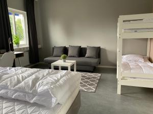 利雪平De la Gardie Park Vandrarhem Hostel的一间卧室配有双层床和沙发