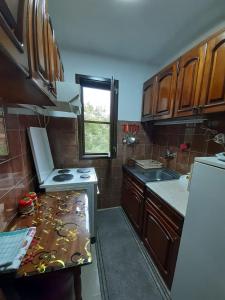 索科矿泉村Apartmani Perovic的厨房配有木制橱柜和台面