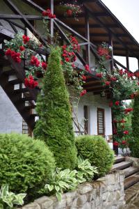 米库利钦Zorianyy Guest House的旁边是一座红花的房子