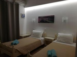 伊奥斯乔拉加利尼公寓式酒店的一间设有两张床的客房,墙上挂着一幅画