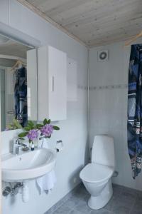 艾于兰文斯格蒂宅斯特盖乐瑞酒店的白色的浴室设有卫生间和水槽。