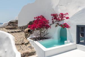 伊亚彻利多尼亚奢华套房酒店 的别墅 - 带小型游泳池和粉红色的鲜花