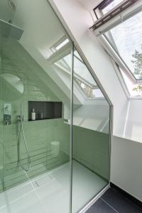 桑甘恩蒙朗特HARAS DE BARRY的玻璃淋浴间,浴室设有天窗