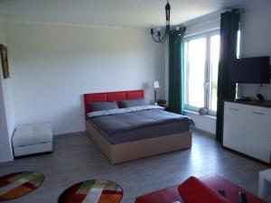 Brodnica DolnaWilla Brodnica的一间卧室设有一张床和一个大窗户