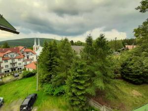 希维拉杜夫-兹德鲁伊Apartament Górski Raj的树木繁茂的小镇和教堂的空中景色