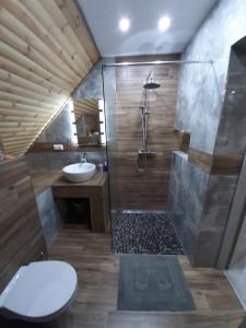 希维拉杜夫-兹德鲁伊Apartament Górski Raj的带淋浴、卫生间和盥洗盆的浴室