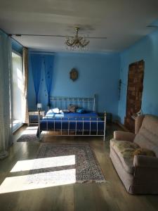 MatkuleGold Sun Zelta Saule的卧室拥有蓝色的墙壁,配有一张床和一张沙发