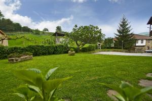CotilloApartamentos Rurales Los Brezos*的绿草如茵的庭院,有树