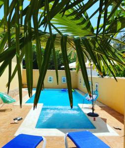 奇克拉纳－德拉弗龙特拉Casita Bella的一个带椅子和棕榈树的游泳池