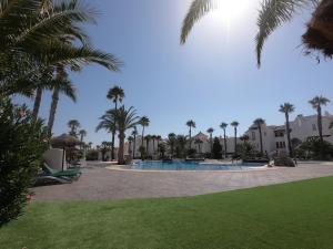 滨海罗克塔斯高尔夫中心公寓酒店的棕榈树公园和游泳池