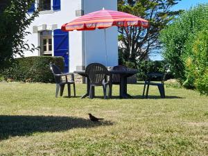 内维兹NEVEZ - MAISON LES PIEDS DANS L EAU avec vue imprenable的鸟站在草上,旁边是桌子,上面有一把伞