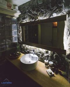 贝拉茨尔克瓦Ladybird Lodge的一间带水槽和镜子的浴室