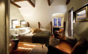 斯德哥尔摩乌尔桑达斯劳特酒店的一间卧室配有一张床,猫睡在卧室里
