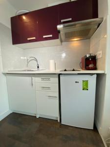 里昂帕尔迪厄站一室公寓的厨房配有白色橱柜和水槽