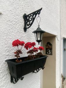 特里迪格Wales' Highest Village - The Chartist Cottage - Trefil的相册照片