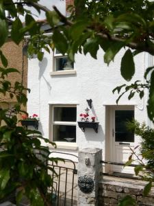 特里迪格Wales' Highest Village - The Chartist Cottage - Trefil的窗户边有猫的白色建筑