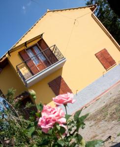 维泰博La Gazza的前面有一朵花的黄色房子
